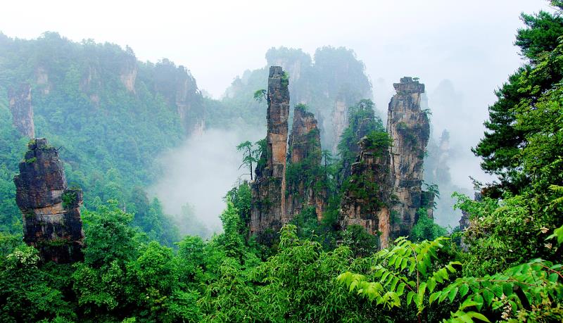 1532000103164357.jpg E7B7052367E539A34E15E94A5F18D177.jpg