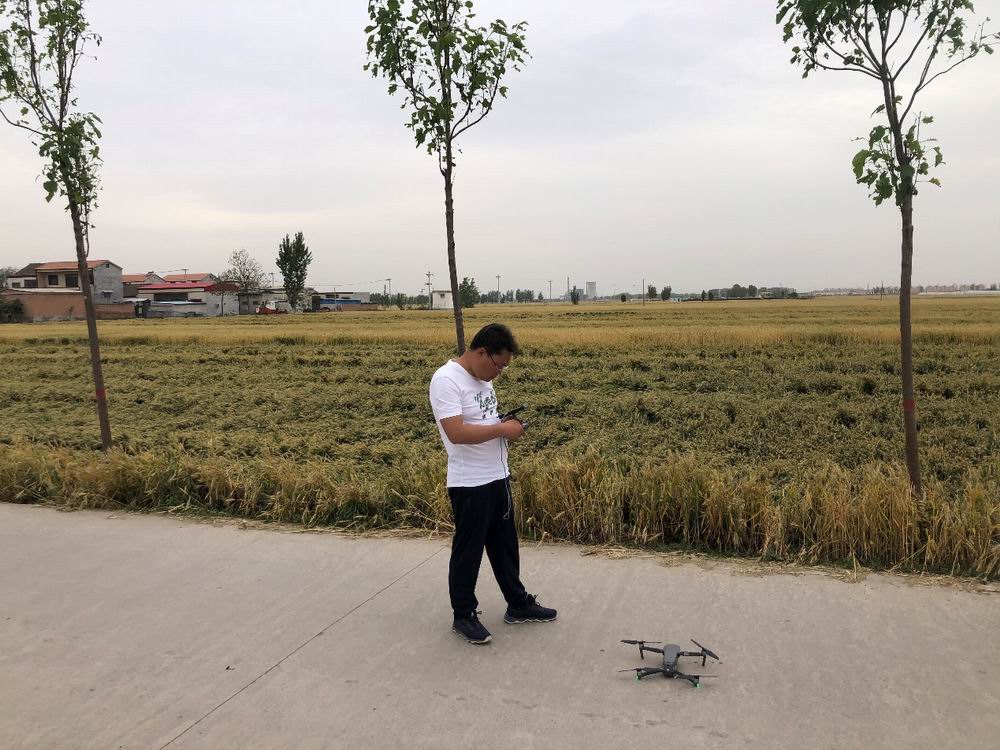 调整大小 图片1.jpg