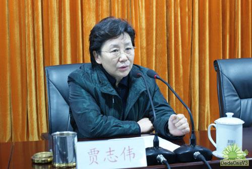 贾志伟局长作工作报告