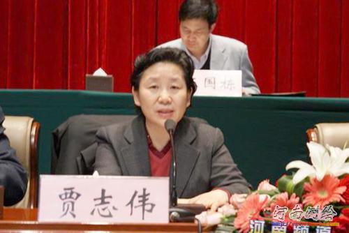 河南省测绘局局长、党委书记贾志伟在大会上作工作报道