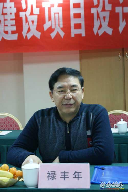 河南省测绘局禄丰年副局长参加评审