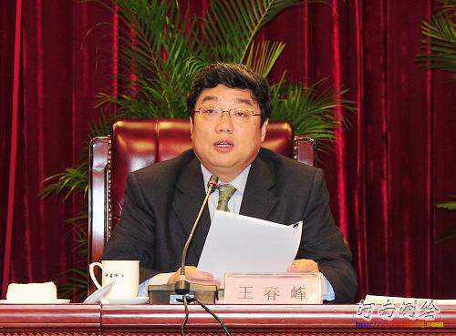 国家测绘局党组副书记、副局长王春峰作总结讲话。