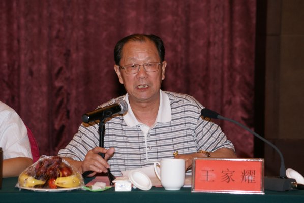 中国工程院院士王家耀在质询