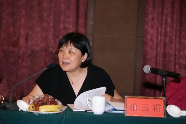 国家测绘地理信息局规划司司长柏玉霜在质询