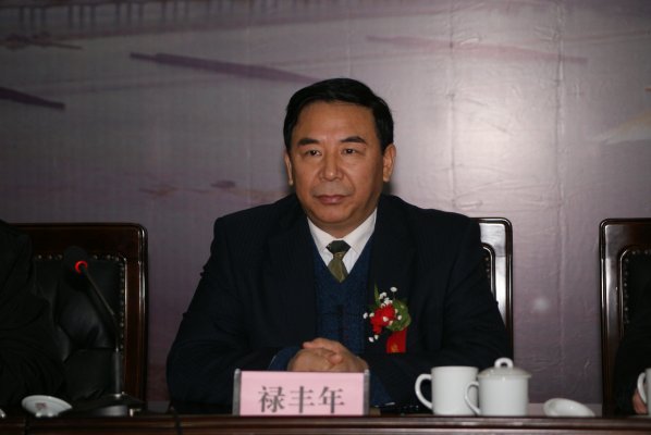 禄丰年副局长就坐主席台