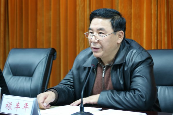 禄丰年副局长主持会议