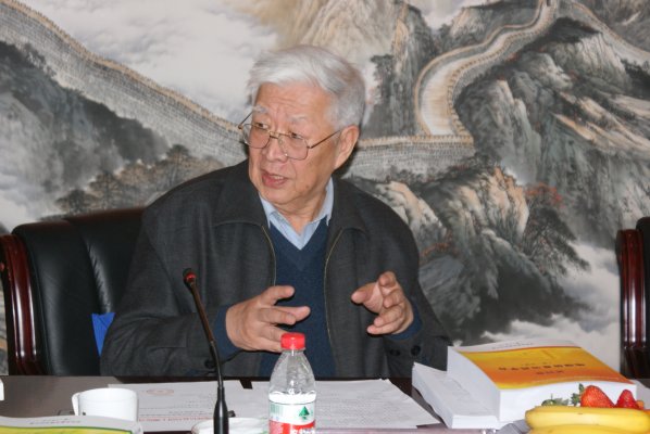 高俊院士在数字郑州验收会上提建议