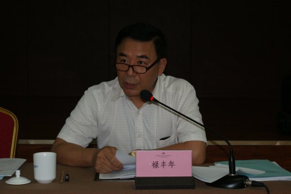 禄丰年副局长发言