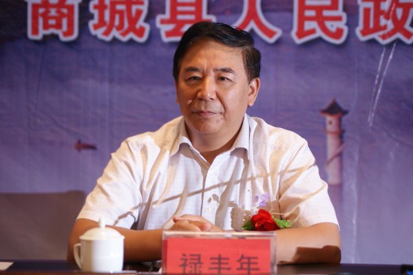 河南省测绘局副局长禄丰年宣读授予商城全省数字县域建设示范县称号的决定