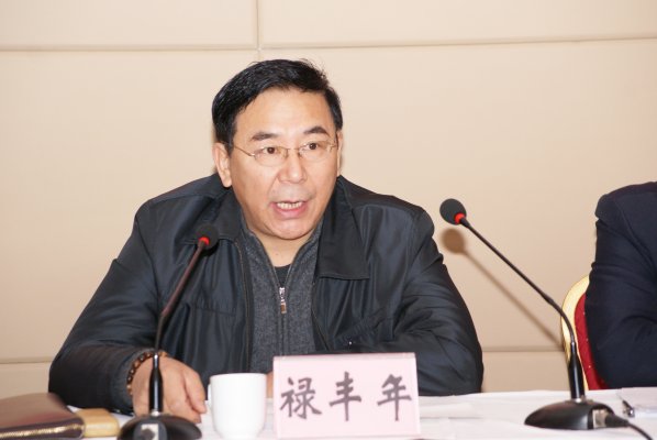 禄丰年副局长讲话