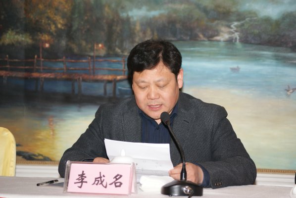 国家局数字城市办李成名主任宣读专家评审意见