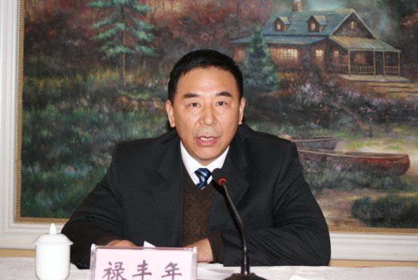 禄丰年副局长宣读国家局批复文件