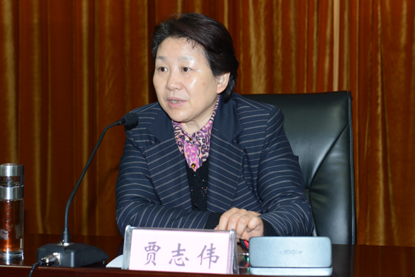 河南省测绘地理信息局局长、局活动领导小组组长贾志伟讲话。