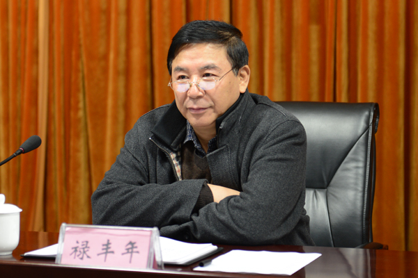 河南省测绘地理信息局副局长禄丰年参加会议。