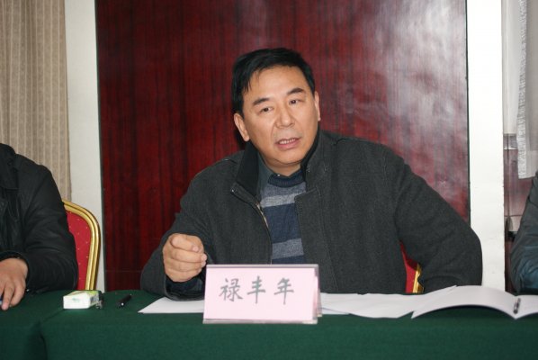 禄丰年副局长参加评审会和启动仪式