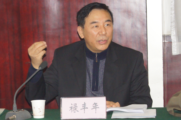 河南神测绘地理信息局副局长禄丰年参加评审会和启动仪式