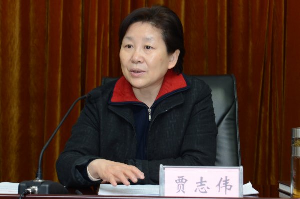 河南省测绘地理信息局局长、局活动领导小组组长贾志伟主持会议并讲话。