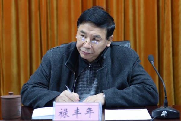 河南省测绘地理信息局副局长、局活动领导小组副组长禄丰年