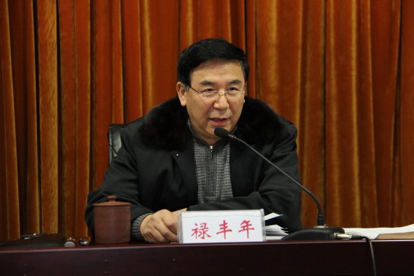 河南省测绘地理信息局副局长禄丰年出席会议并讲话。