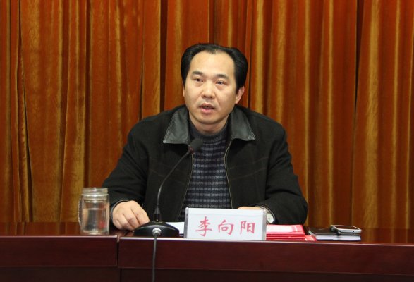 河南省基础地理信息中心主任李向阳