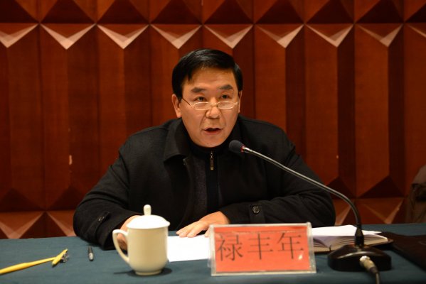 河南省测绘地理信息局副局长禄丰年主持会议并作会议总结。