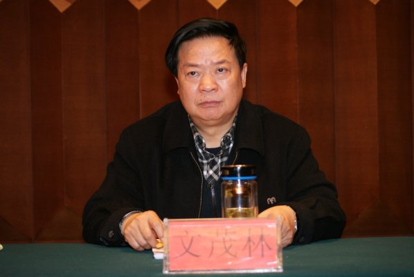 河南省国土资源厅副厅长文茂林出席会议。