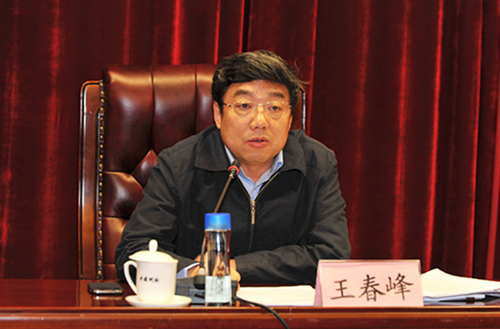 局党组副书记、副局长王春峰主持会议。