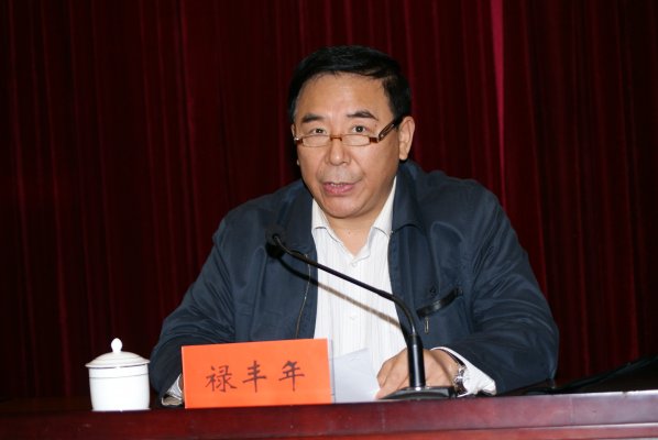 河南省测绘地理信息局副局长禄丰年出席会议