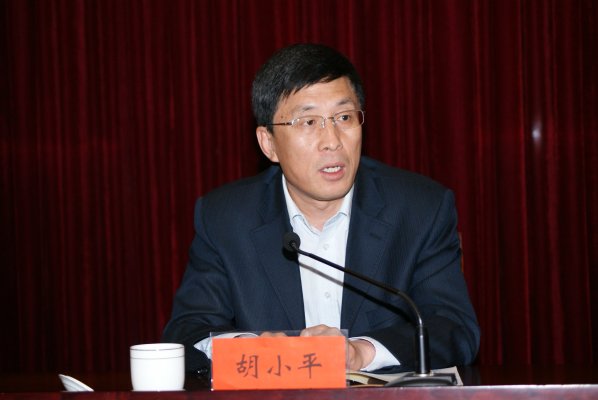 焦作市人民政府副市长胡小平出席会议