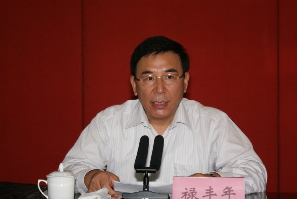 禄丰年副局长宣读验收意见