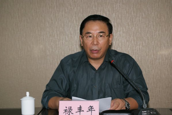 禄丰年副局长宣读国家局审批文件