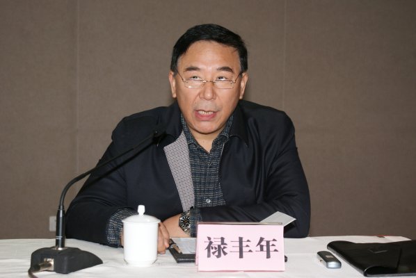 禄丰年副局长、理事长主持会议