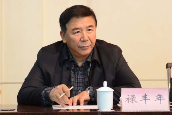 河南省测绘地理信息局副局长禄丰年出席会议