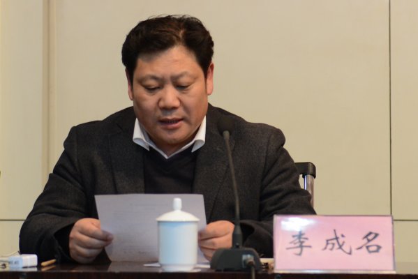 中国测绘科学研究院GIS所所长李成名宣读验收意见