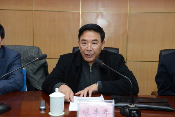 河南省测绘地理信息局副局长、河南省测绘学会理事长禄丰年致辞并传达国家测绘地理信息局局长库热西视察河南测绘地理信息工作的讲话精神