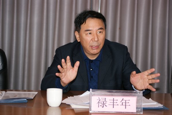 禄丰年副局长讲话