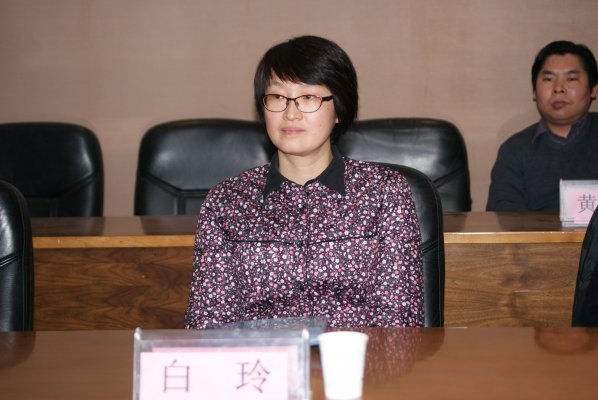 白玲教授参加评审会