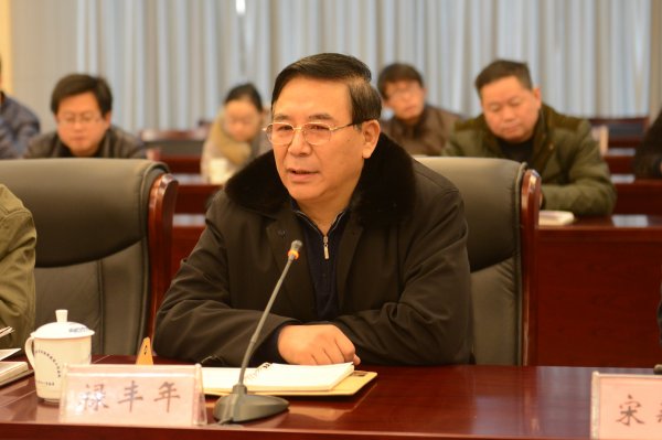 禄丰年出席会议并讲话