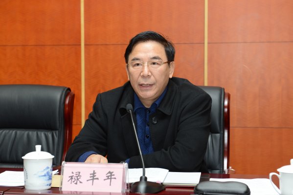 河南省测绘地理信息局副局长禄丰年（主持工作）作工作报告