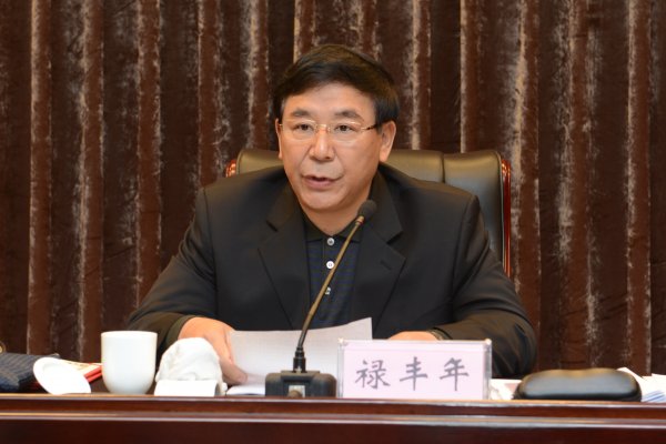 河南省测绘地理信息局副局长禄丰年（主持工作）作工作报告