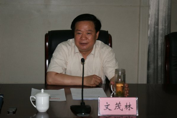 文茂林讲话