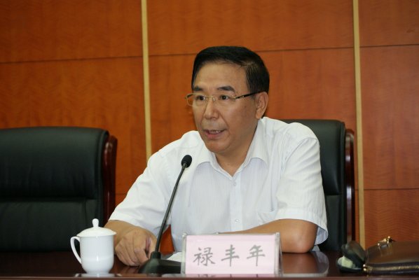 禄丰年副局长发言