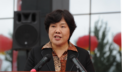 黑龙江省人民政府副省长于莎燕讲话。