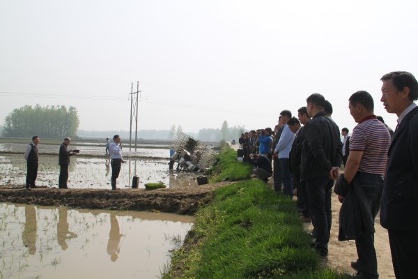 省农科院首席水稻专家讲解栽培技术