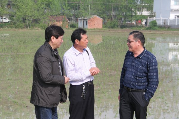 与专家细致交流