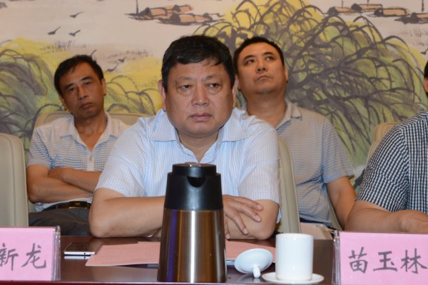 苗玉林作重要讲话