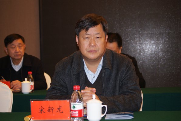 河南省测绘地理信息局副局长宋新龙出席会议