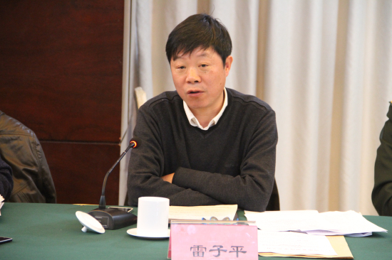 省国土资源厅总规划师雷子平讲话.jpg