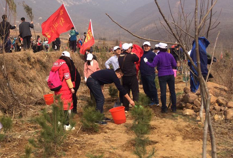 植树造林，绿化郑州.png