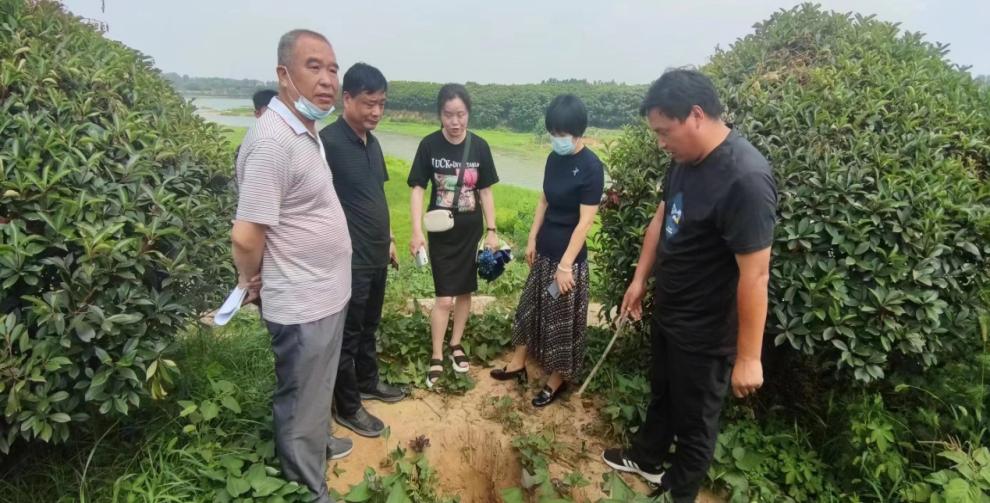 图片5.jpg